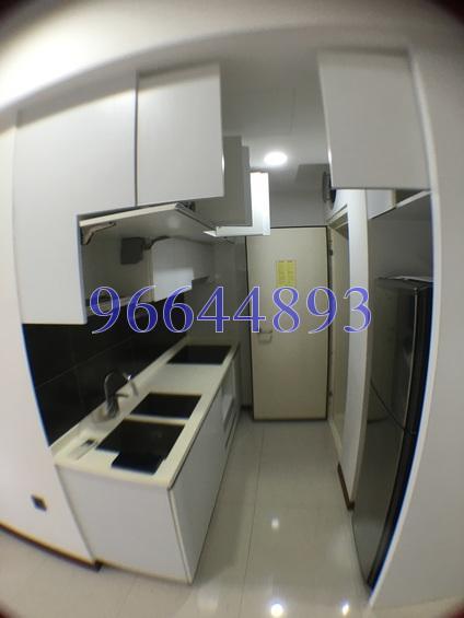 Guillemard Edge (D14), Apartment #162341922